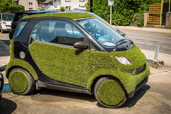 smart, grass, auto, rush, lawn paint, surface, car