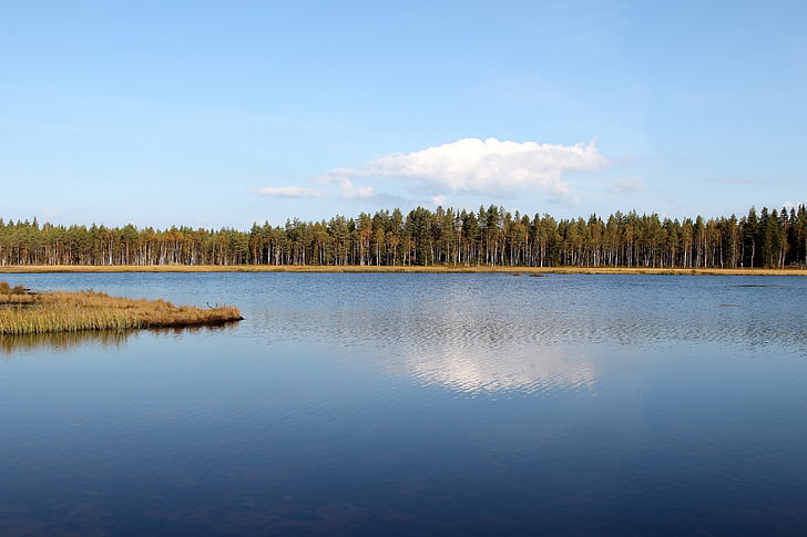 Finlandiya, Göl, su, doğal, gökyüzü, bulutlar, Orman