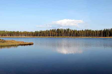 Suomija, ežeras, vandens, vaizdingas, dangus, debesys, miško