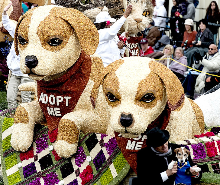 parade, float, dogs, floral, rose parade, street, colorful