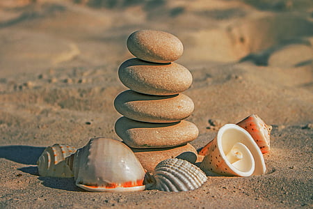 stones, beach sand, sea shells, zen, balance