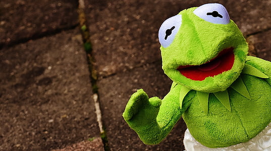 Kermit, grenouille, drôle, vague, amusement, peluche, animal en peluche