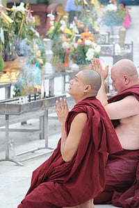 스님, 승려, 버마, 미얀마, 기도, 인간의, 프롬
