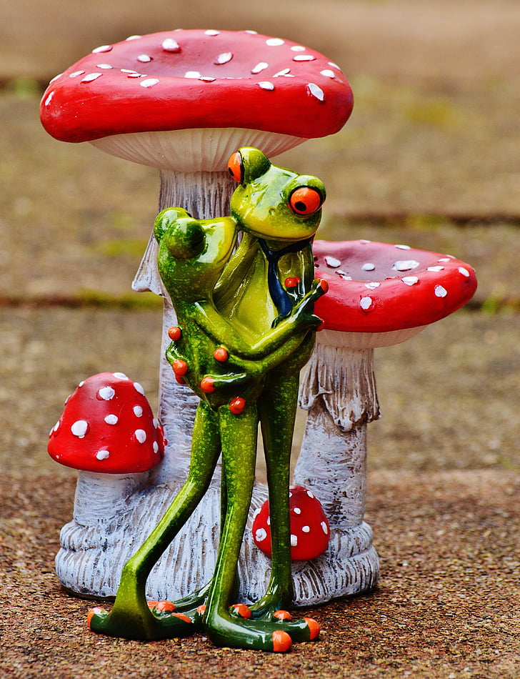 valentine's day, love, frogs, pair, kiss, together, figure