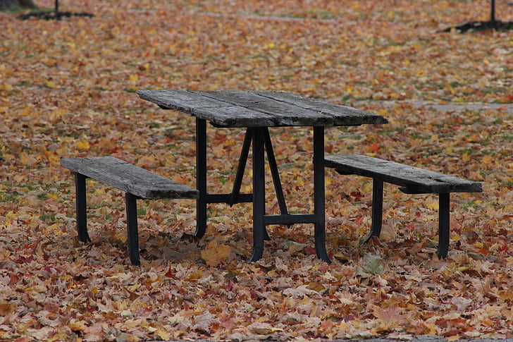 bench, fall, nature, outdoor