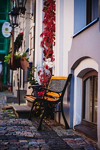 bench, pavement, plant, wall, street, europe, architecture