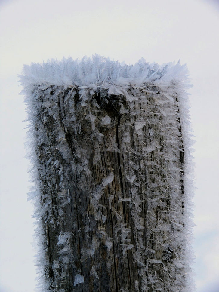 drzewo, lód, mrożona, eiskristalle, mróz, mrożone, niebo