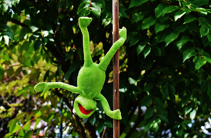 Poledance, Kermit, lustig, Stofftier, Tier, Spielzeug, Stofftier