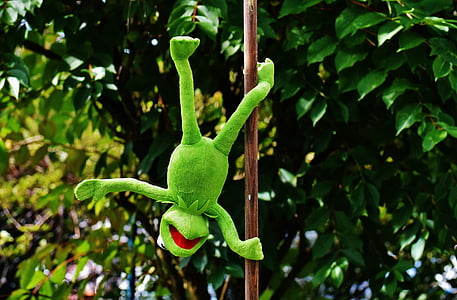 poledance, Kermit, Rolig, Mjuk leksak, djur, leksaker, Upptoppade djur