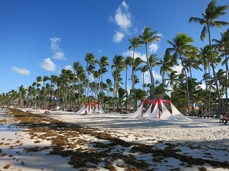 plajă, palmieri, Caraibe, Republica Dominicană, mare, vacanta, paradis