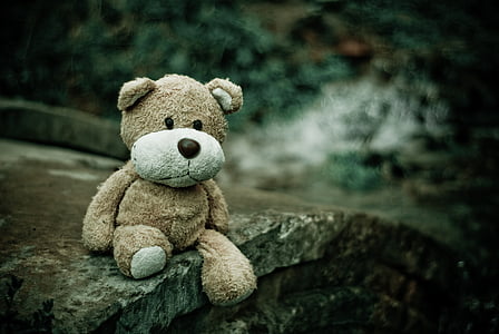 close-up, macro, urso de pelúcia, brinquedo, bicho de pelúcia, sem pessoas, infância