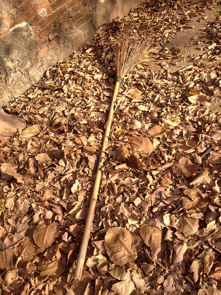 broom, autumn leaves, autumn, nature, history, old, fall