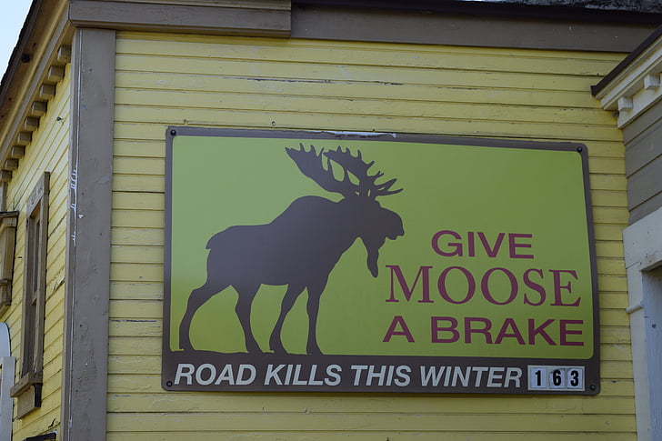 Moose, Road kill, teken, Billboard, waarschuwing, bord