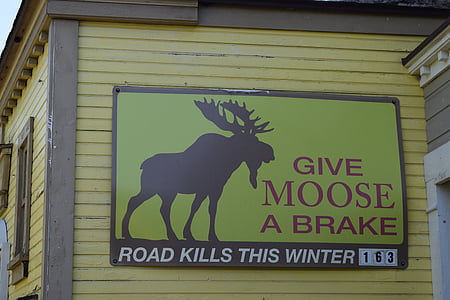 moose, road kill, sign, billboard, warning, roadsign