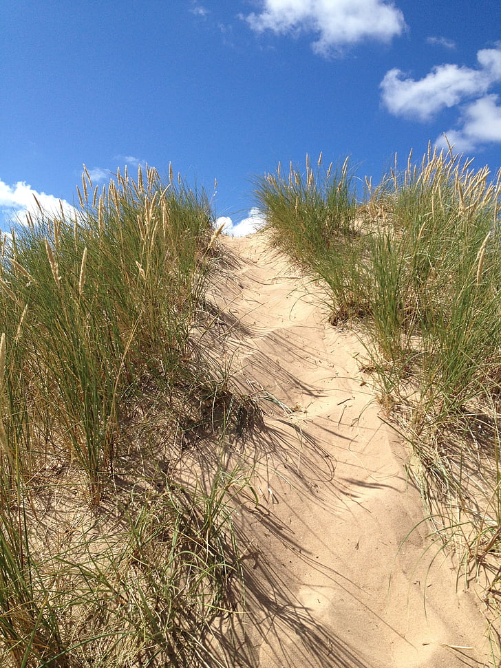 Dune, erba, estate, sabbia, Himmel, spiaggia