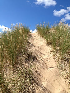 dunes, herbe, été, sable, Himmel, plage