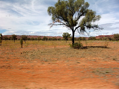 Outback, Bush, steppe, woestijn, Australië, rood, droog