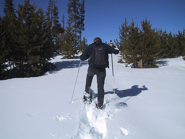 snowshoeing, snow shoes, snow, hiking, sport, go, sticks