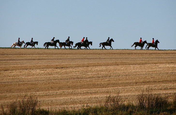 Reiter, άλογα, βόλτα, ιππασίας, κυνήγι