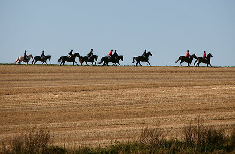 Reiter, kone, Ride, jazdecké, Poľovníctvo