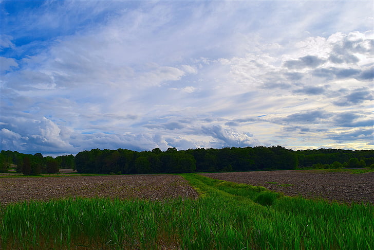 field, farm, cloudy sky, agriculture, landscape, farm field, rural