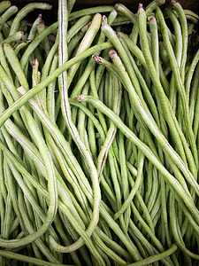 Френски Боб кошница, зелен боб, дълги зърна, храна, растителна, пресни, естествени