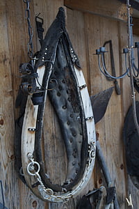 cổ áo nhọn, cổ áo, con ngựa, hoạt động khai thác, Các món ăn pferdearbeit, kéo, dự thảo ngựa