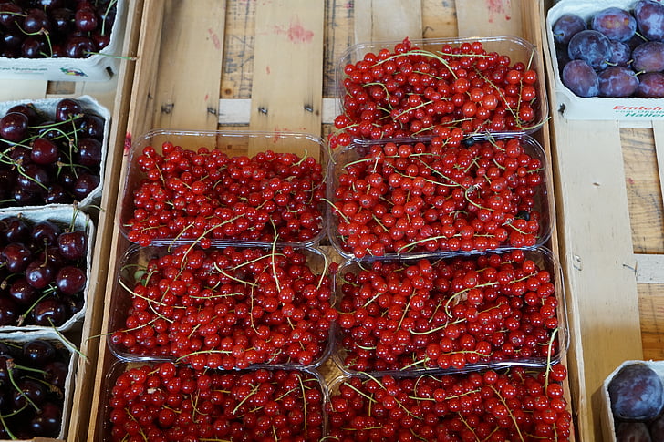currants, red, market