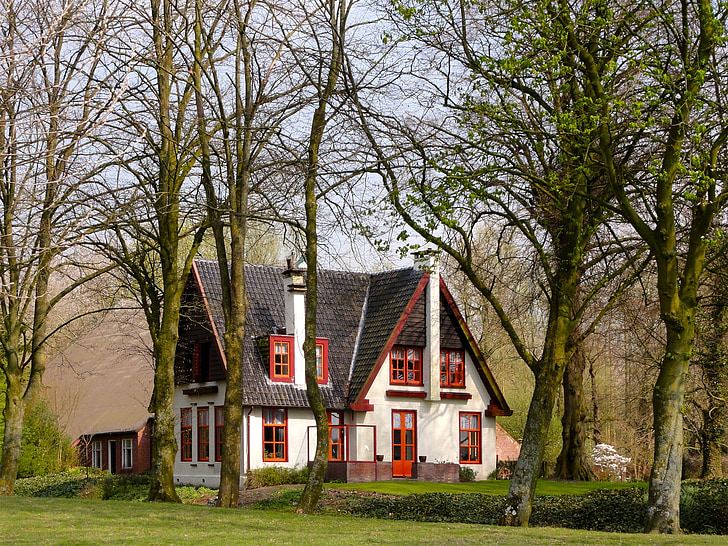 Nizozemska, Naslovnica, kuća, stabla, priroda, izvan, trava