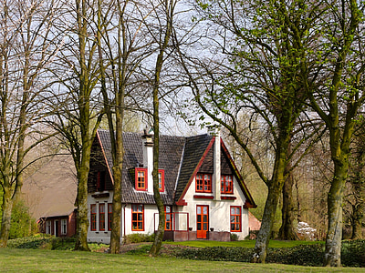 네덜란드, 홈, 집, 나무, 자연, 밖에 서, 잔디