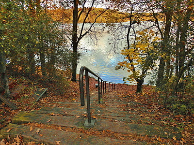 lake, bank, stairs, idyllic, autumn, idyll, flakesee