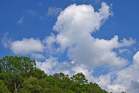kümülüs bulutlar ağaçlar üzerinde, Tennessee, ABD, ağaçlar, bitki, bulutlar, nehir