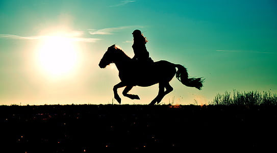 silhouette, gallop, reiter, horse, sunset, sun, meadow