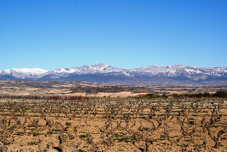 La rioja, Logroño, wijngaarden, winter, woestijn, berg, natuur