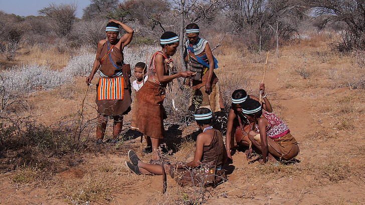Botswana, Bushman, grupp, samla in, ursprungsbefolkningarnas kultur, tradition