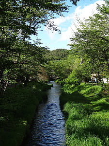 oshino hakkai, river, clear stream, fuji, world heritage site, mt fuji, japan