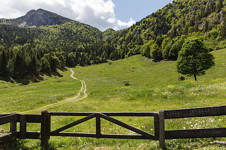 trento, garda mountains, alm, italy, landscape, forest, wood fence