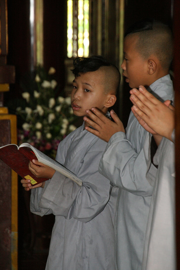 munkit, buddhalaisuus, Vietnam, bonze, uskonto, ihmiset, rukoilee