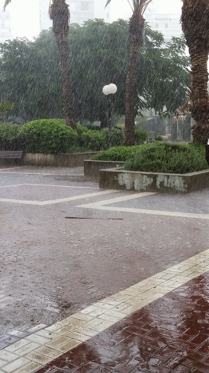 regn, Tel aviv, Israel, skymning