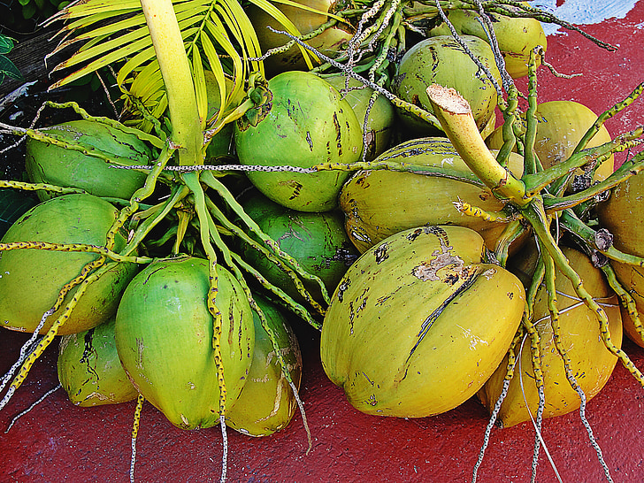 Cocos, frukt, grønne bukett kokosnøtter