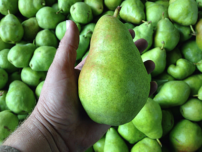 pears, fruit, green, healthy, diet, natural, ripe