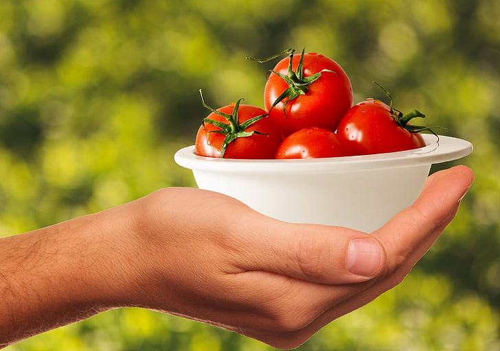 tomatid, köögiviljad, terve, toidu, maitsev, punane, vitamiinid