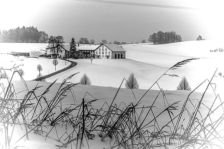 Winter, winterliche, Schnee, verschneite, Landschaft, Bauernhof, Winter Weg