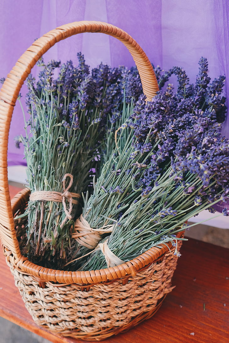 basket, beautiful flowers, bed of flowers, flower basket, flowers, lavender, purple