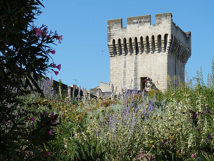 avignon, france, provence, historically, tower, south of france, city wall
