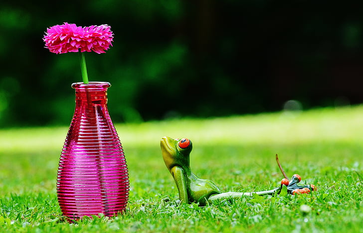 vaza, cvet, žaba, zabavno, srčkano, ljubko, travnik