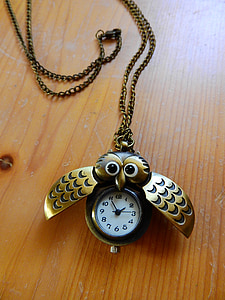 necklace, chain, owl, jewelry, gold, watch, dial