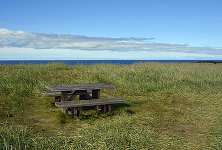 table, bank, picnic table, picnic, between catering, rest, loneliness