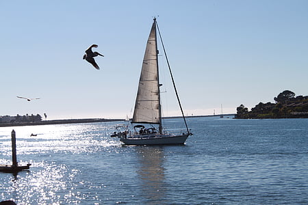 Марина, човен, Вітрильний спорт, морські, небо, Пелікан, Морська
