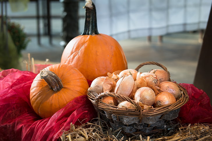 pumpkin, onions, thanksgiving, harvest, vegetables